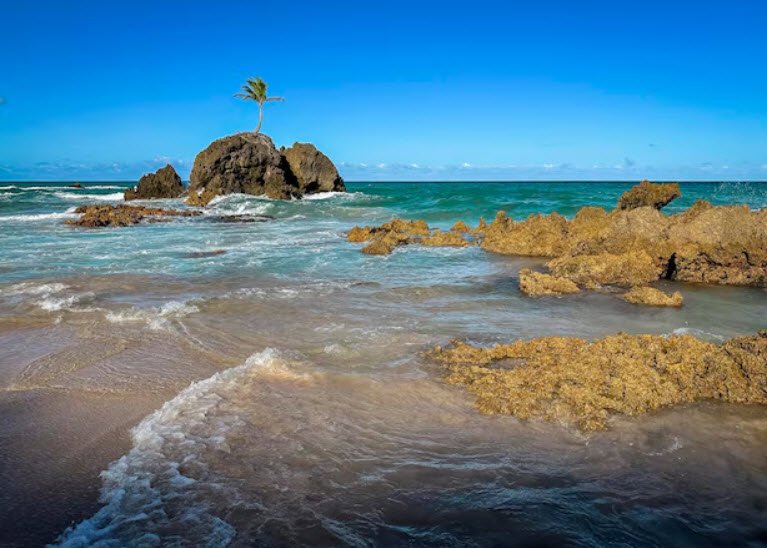 Tambaba Beach, Atlantic Coast, Brazil